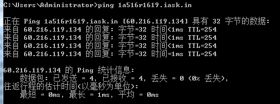 4G工業路由器的動態域名解析(DDNS)：測試結果