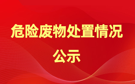 2024年危險(xiǎn)廢物產(chǎn)生、處置情況公示